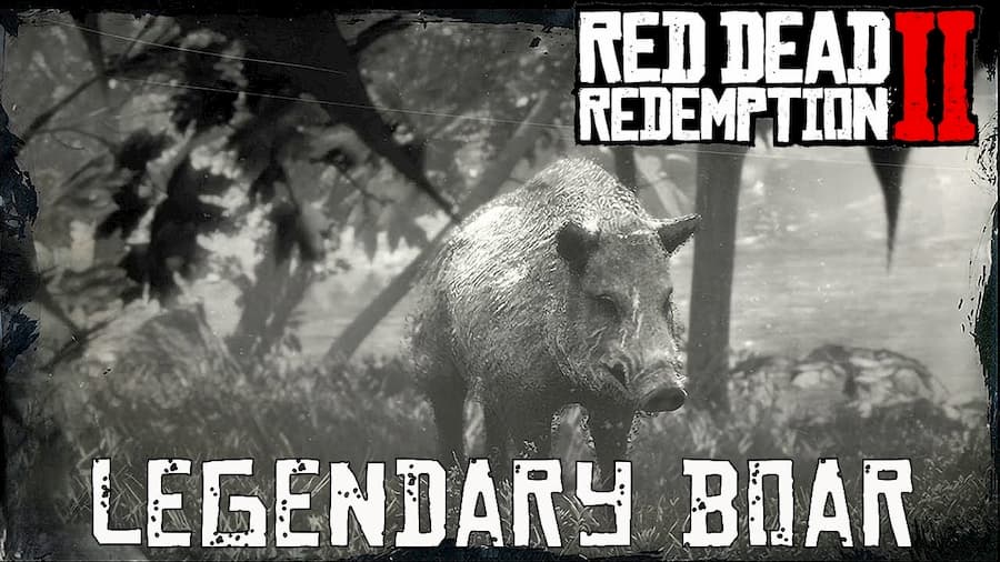 Top legendary animal rdr2 boar