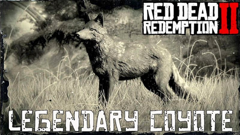 Top legendary animal rdr2 coyote